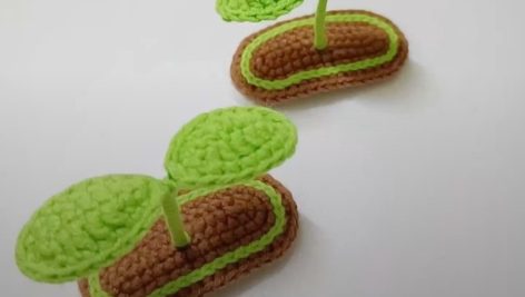 گیره مو جوانه